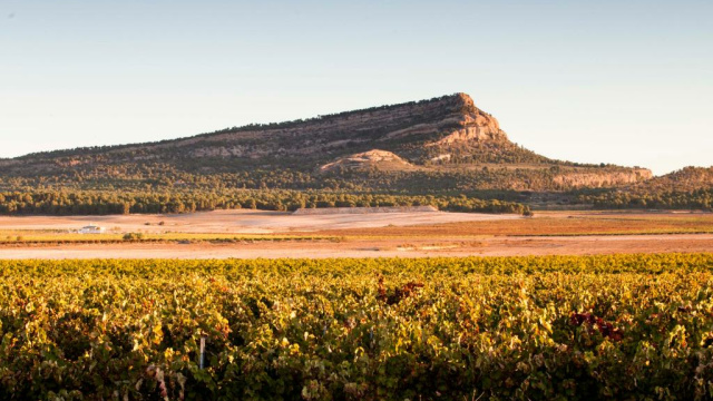 BODEGAS CONDE DE MONTORNÉS