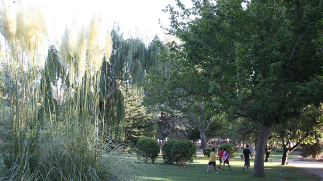 JARDÍN BOTÁNICO DE LA ESTACADA