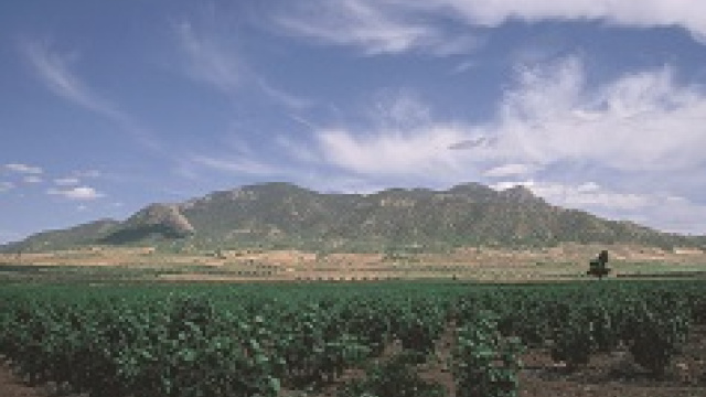 REGIONAL PARK OF SIERRA DEL CARCHE